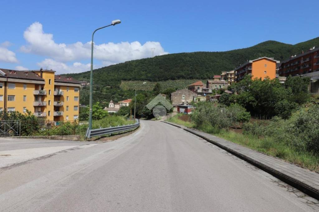 immagine annuncio 0 di 15