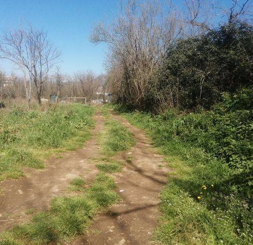 terreno agricolo in vendita a Fisciano