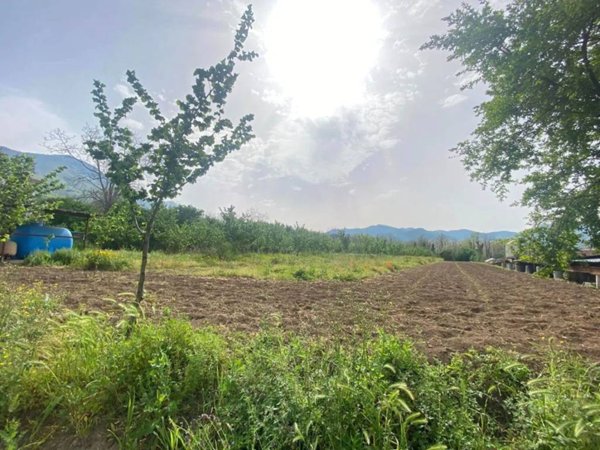 terreno agricolo in vendita a Fisciano in zona Pizzolano