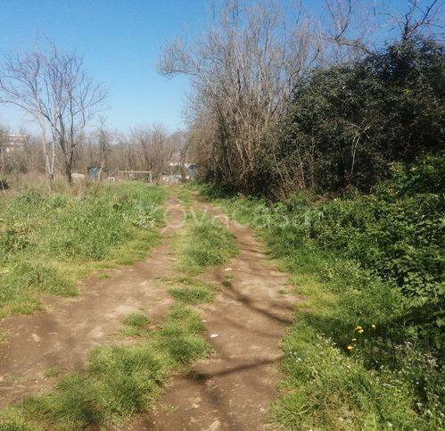 terreno agricolo in vendita a Fisciano