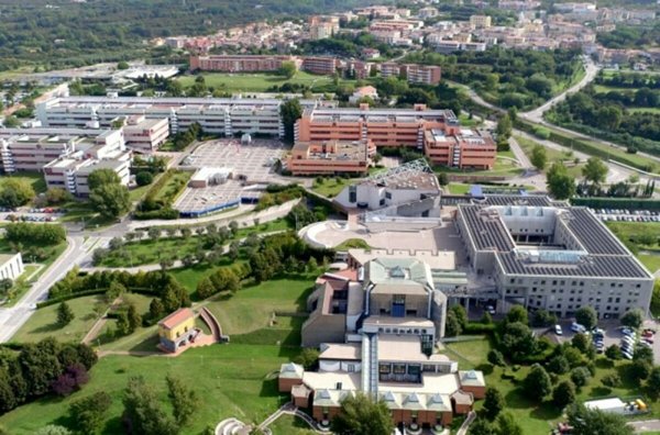 immagine annuncio 0 di 5