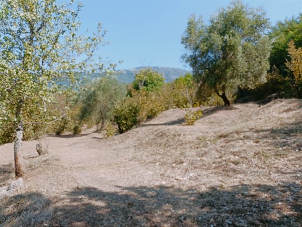 terreno agricolo in vendita a Fisciano