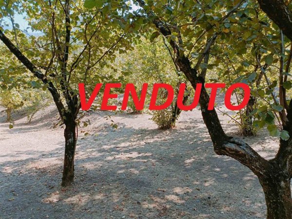 terreno agricolo in vendita a Fisciano