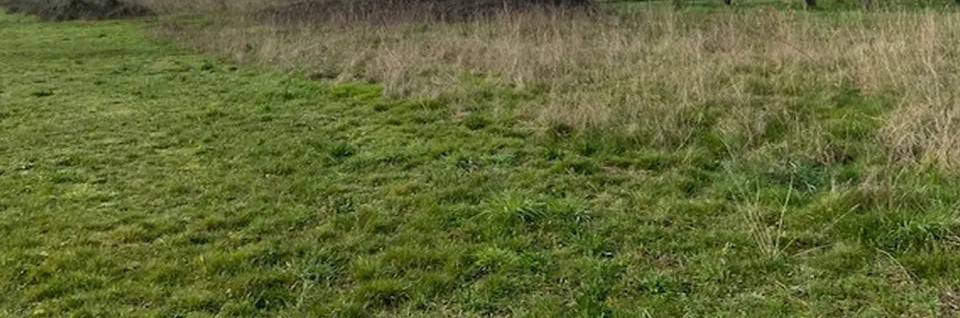 casa indipendente in vendita a Fisciano in zona Settefichi