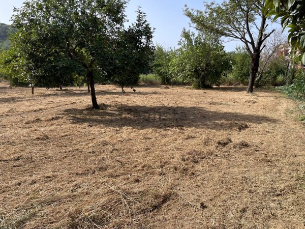 terreno agricolo in vendita a Fisciano in zona Bolano