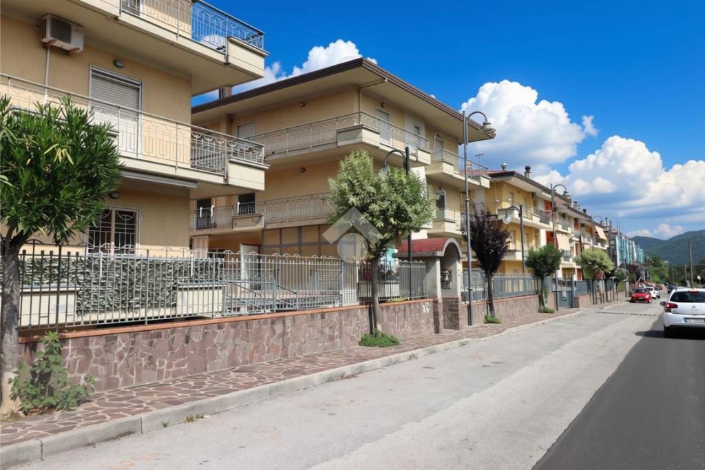 immagine annuncio 0 di 15