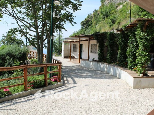 immagine annuncio 0 di 15