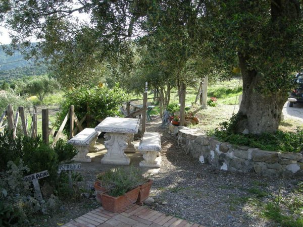 casa indipendente in vendita a Futani in zona Castinatelli