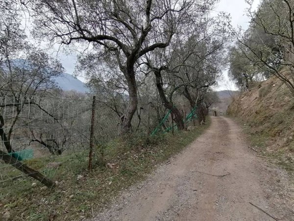 terreno agricolo in vendita a Giffoni Sei Casali in zona Sieti