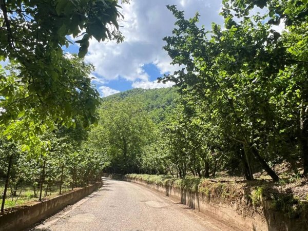 terreno agricolo in vendita a Giffoni Sei Casali