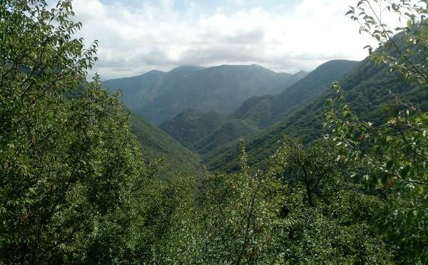 terreno agricolo in vendita a Giffoni Sei Casali in zona Prepezzano