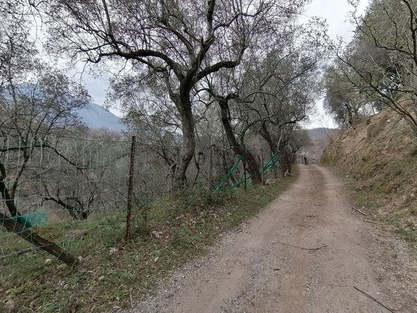 terreno agricolo in vendita a Giffoni Sei Casali in zona Sieti