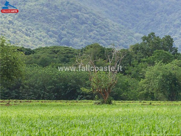 terreno agricolo in vendita a Giffoni Sei Casali