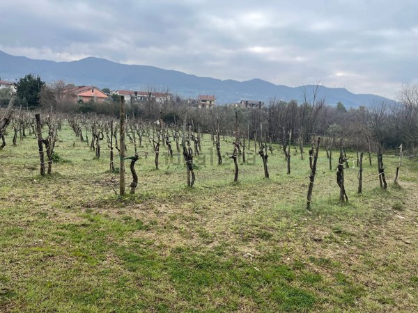 terreno agricolo in vendita a Giffoni Sei Casali in zona Malche
