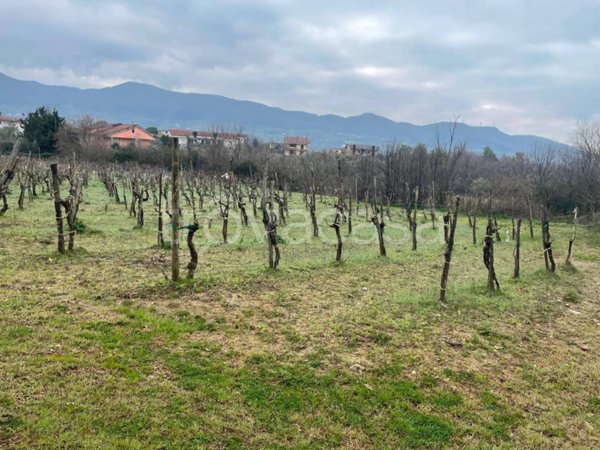 terreno agricolo in vendita a Giffoni Sei Casali in zona Malche