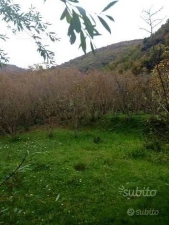 terreno agricolo in vendita a Giffoni Valle Piana in zona Ornito