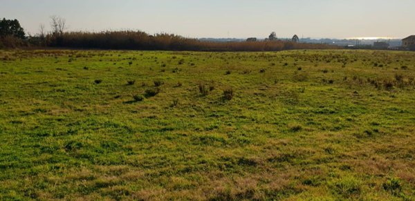 terreno agricolo in vendita a Giffoni Valle Piana