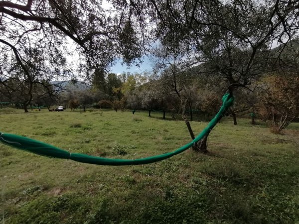 terreno agricolo in vendita a Giffoni Valle Piana