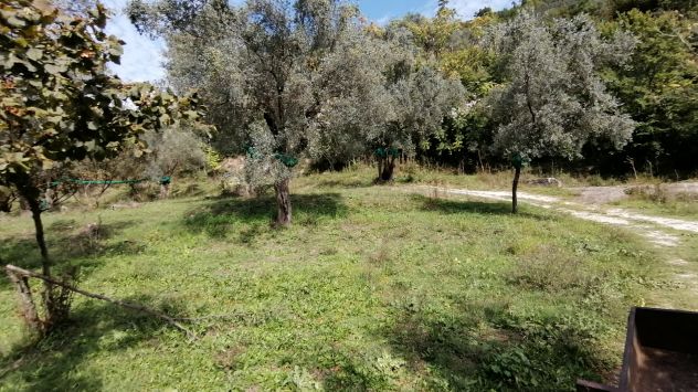 terreno agricolo in vendita a Giffoni Valle Piana