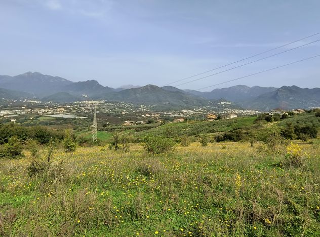 terreno agricolo in vendita a Giffoni Valle Piana