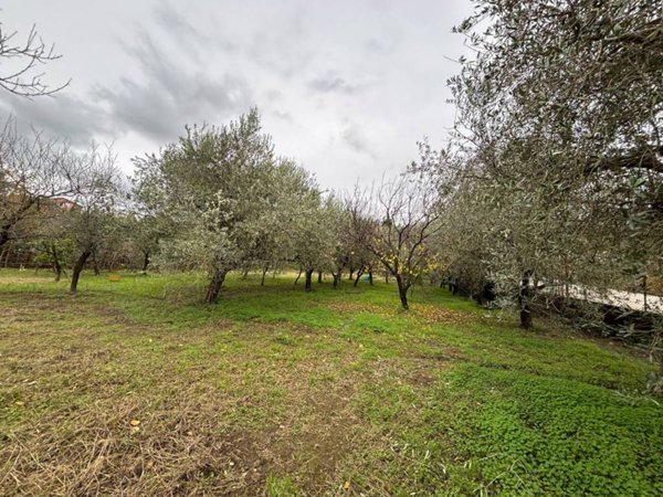 terreno agricolo in vendita a Giffoni Valle Piana