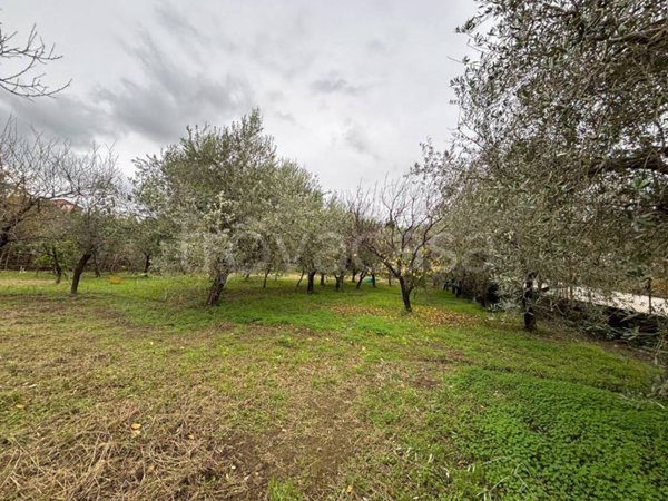 terreno agricolo in vendita a Giffoni Valle Piana
