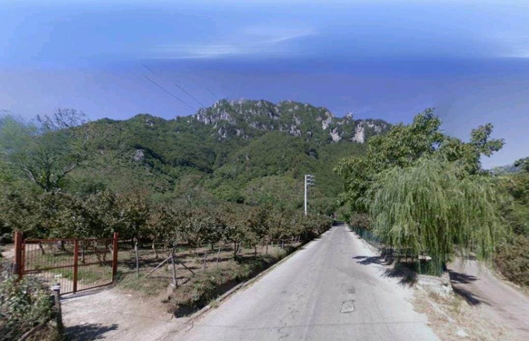 terreno agricolo in vendita a Giffoni Valle Piana