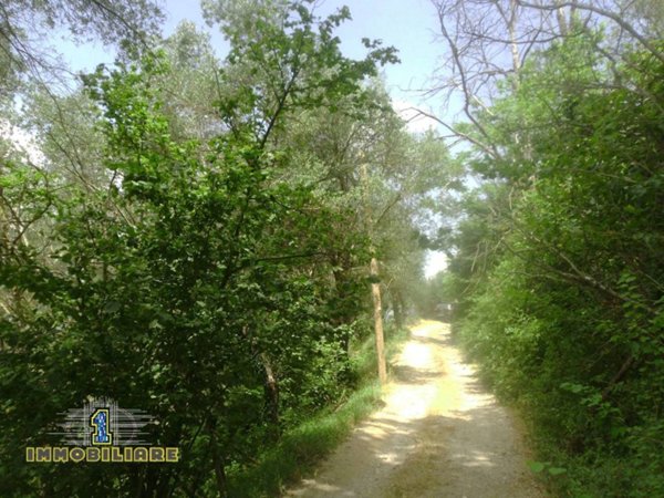 terreno agricolo in vendita a Giffoni Valle Piana in zona Ornito