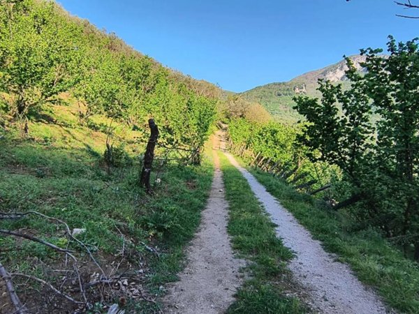 terreno agricolo in vendita a Giffoni Valle Piana in zona Vassi