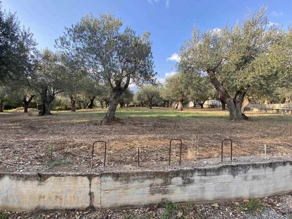 terreno agricolo in vendita a Giffoni Valle Piana