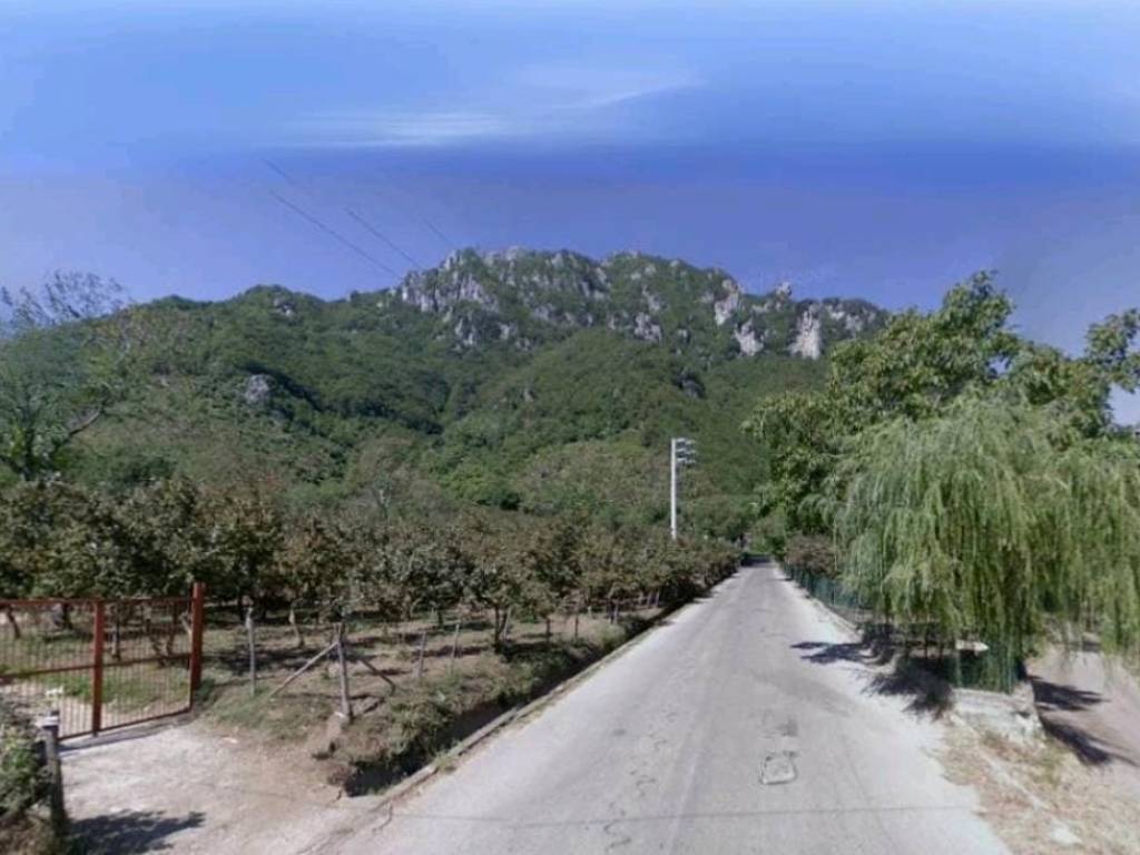 terreno agricolo in vendita a Giffoni Valle Piana