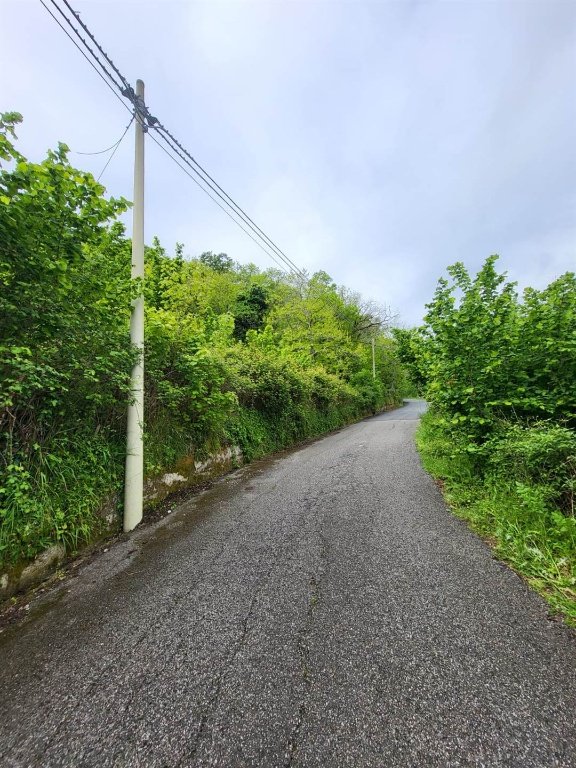 terreno agricolo in vendita a Giffoni Valle Piana