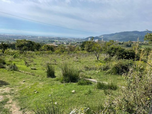 terreno agricolo in vendita a Giffoni Valle Piana