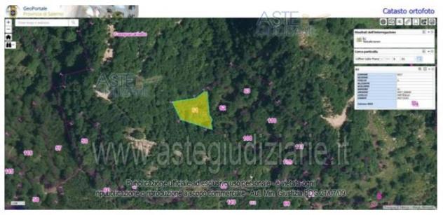 terreno agricolo in vendita a Giffoni Valle Piana
