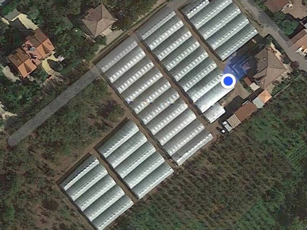 terreno agricolo in vendita a Giffoni Valle Piana