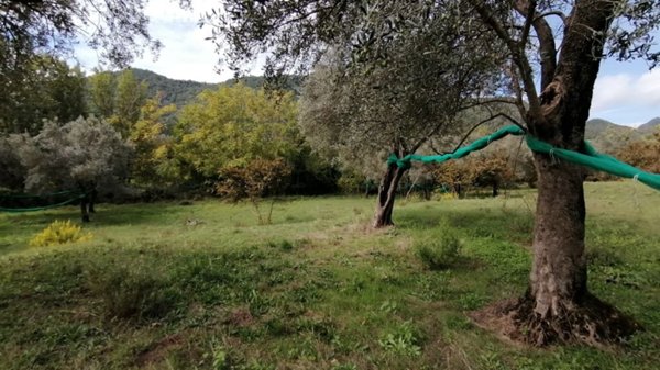 terreno agricolo in vendita a Giffoni Valle Piana