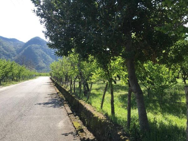 terreno agricolo in vendita a Giffoni Valle Piana
