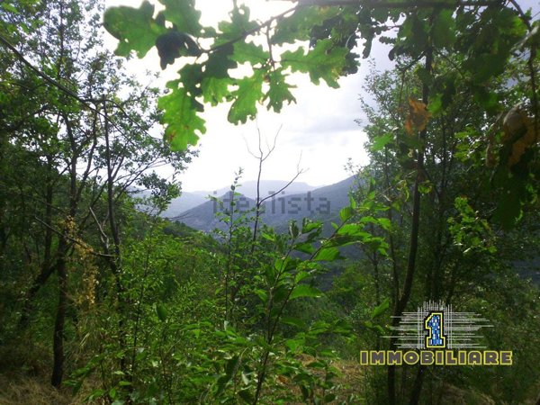 terreno agricolo in vendita a Giffoni Valle Piana