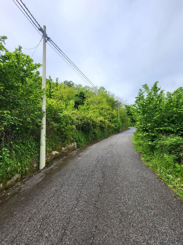 terreno agricolo in vendita a Giffoni Valle Piana