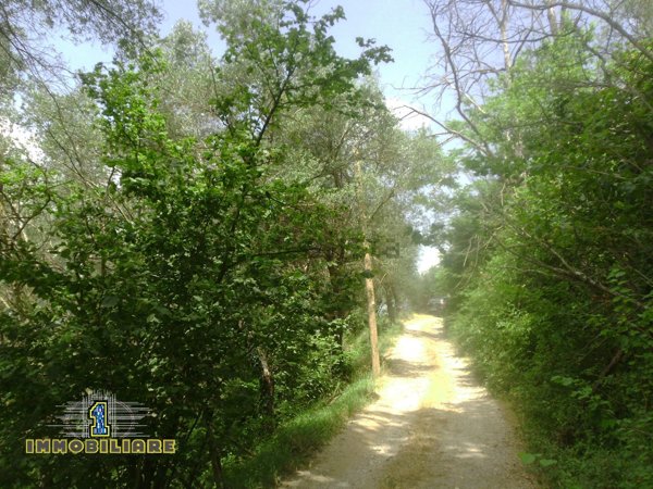 terreno agricolo in vendita a Giffoni Valle Piana in zona Ornito