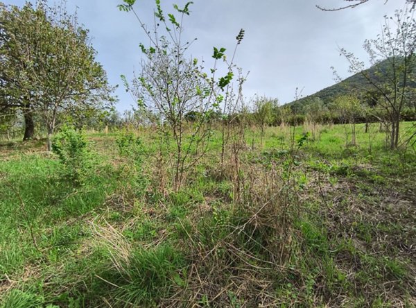 terreno agricolo in vendita a Giffoni Valle Piana in zona Ornito