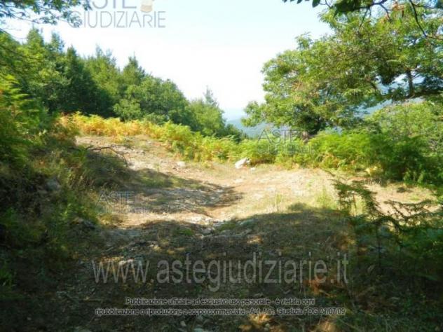 terreno agricolo in vendita a Giffoni Valle Piana