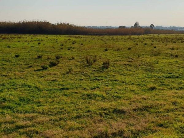 terreno agricolo in vendita a Giffoni Valle Piana
