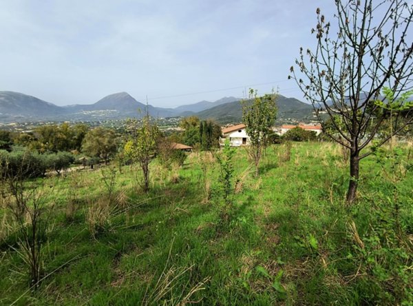 terreno agricolo in vendita a Giffoni Valle Piana in zona Ornito