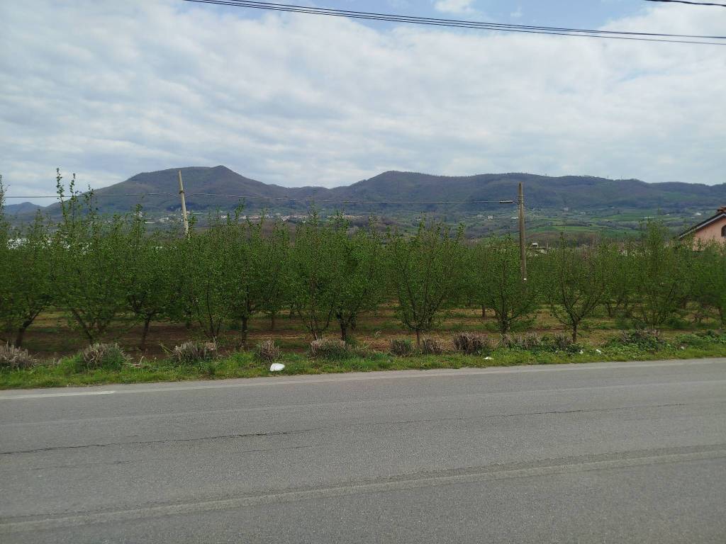 terreno agricolo in vendita a Giffoni Valle Piana