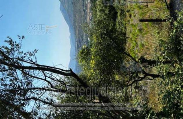 terreno agricolo in vendita a Giffoni Valle Piana