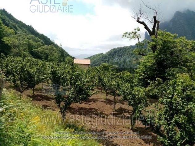 terreno agricolo in vendita a Giffoni Valle Piana
