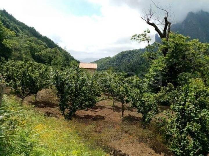 casa indipendente in vendita a Giffoni Valle Piana
