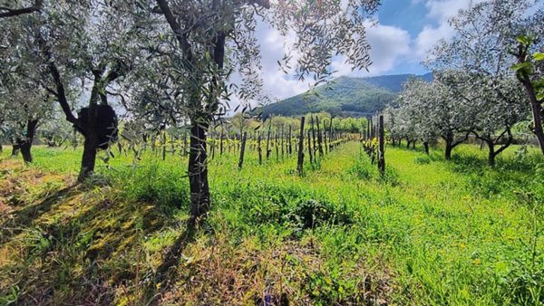rudere in vendita a Giffoni Valle Piana in zona Ornito
