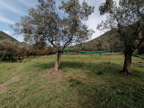 terreno agricolo in vendita a Giffoni Valle Piana
